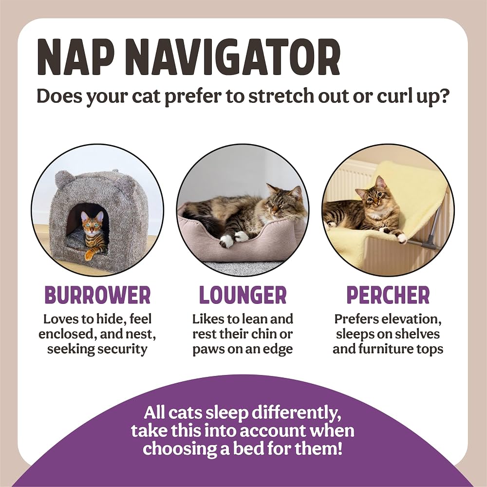Nap Navigator guide explaining the three cat sleeping styles: burrower, lounger and percher