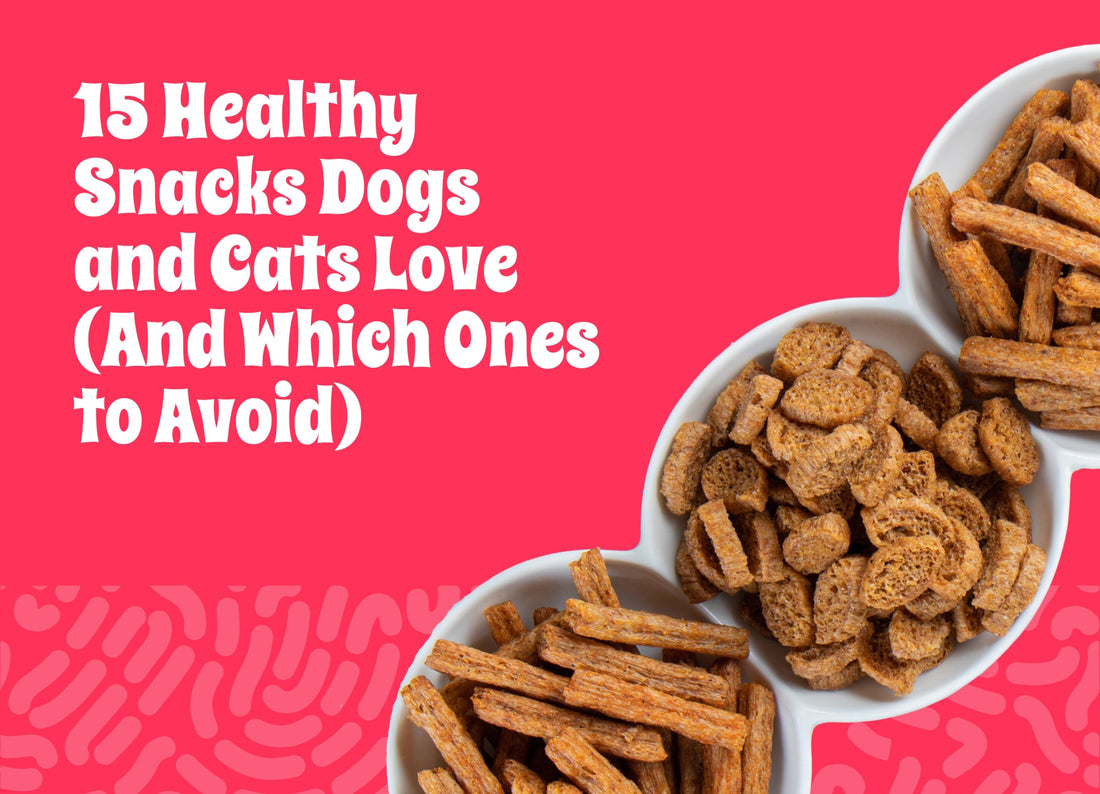 15 Healthy Snacks Dogs and Cats Love (And Which Ones to Avoid)