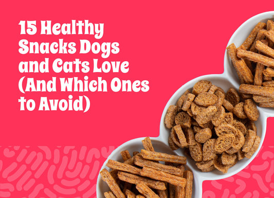 15 Healthy Snacks Dogs and Cats Love (And Which Ones to Avoid)