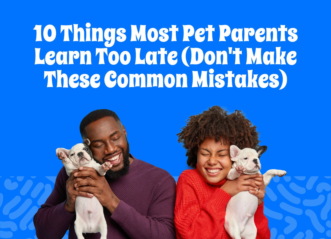 10 Things Most Pet Parents Learn Too Late (Don't Make These Common Mistakes)