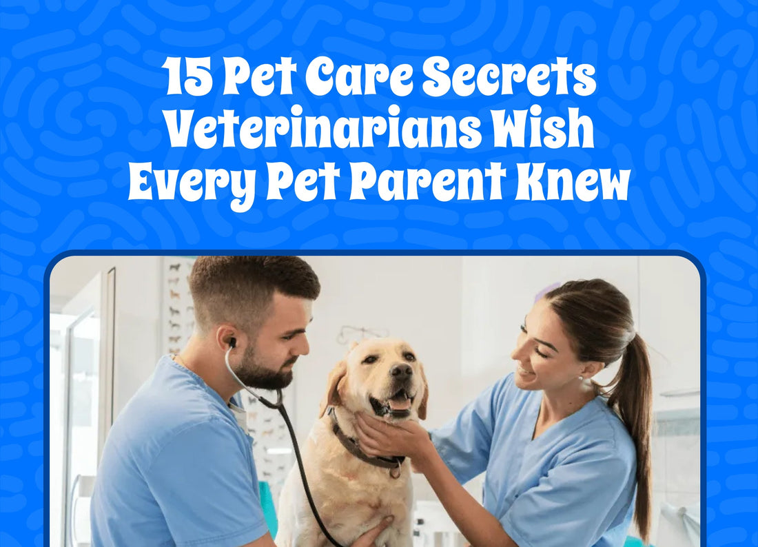 15 Pet Care Secrets Veterinarians Wish Every Pet Parent Knew