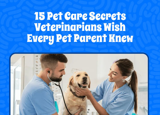 15 Pet Care Secrets Veterinarians Wish Every Pet Parent Knew
