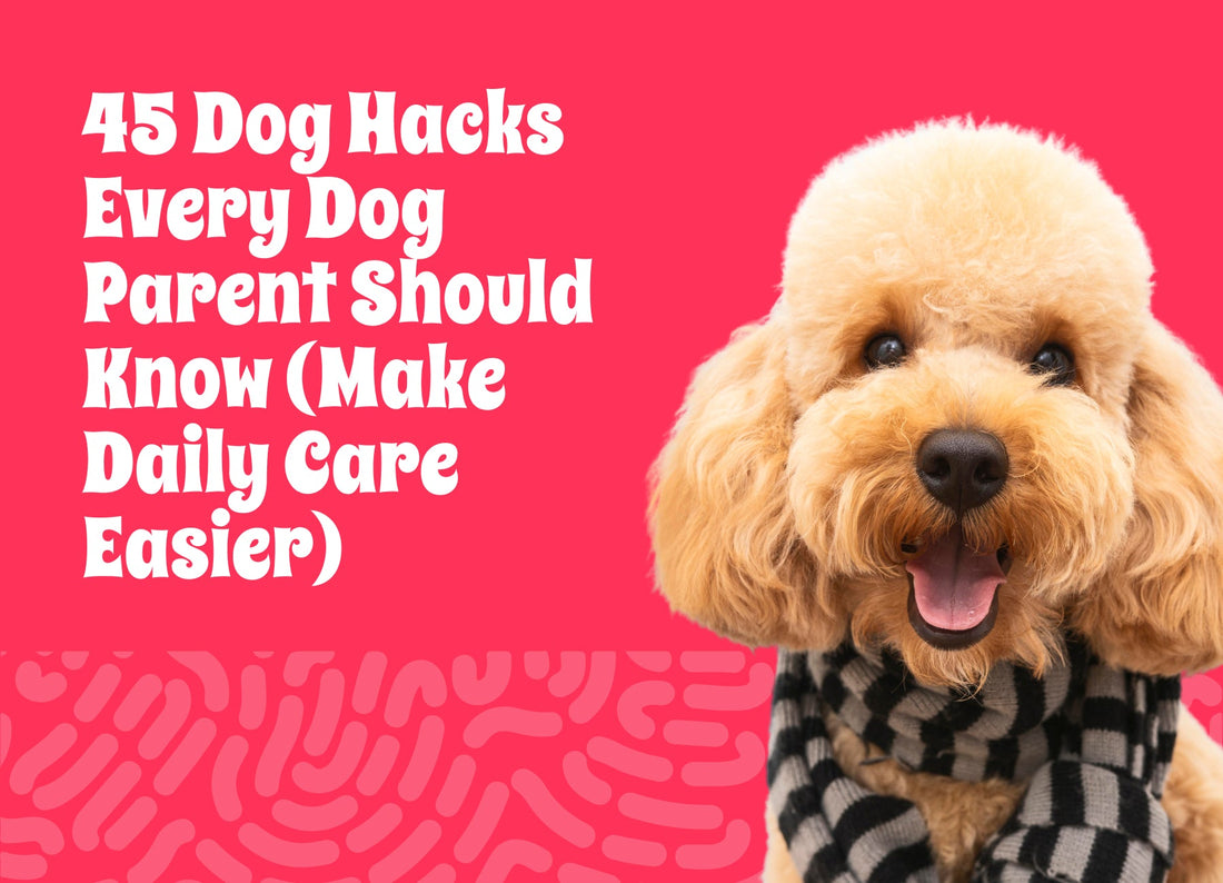 45 Dog Hacks Every Dog Parent Should Know (Make Daily Care Easier)