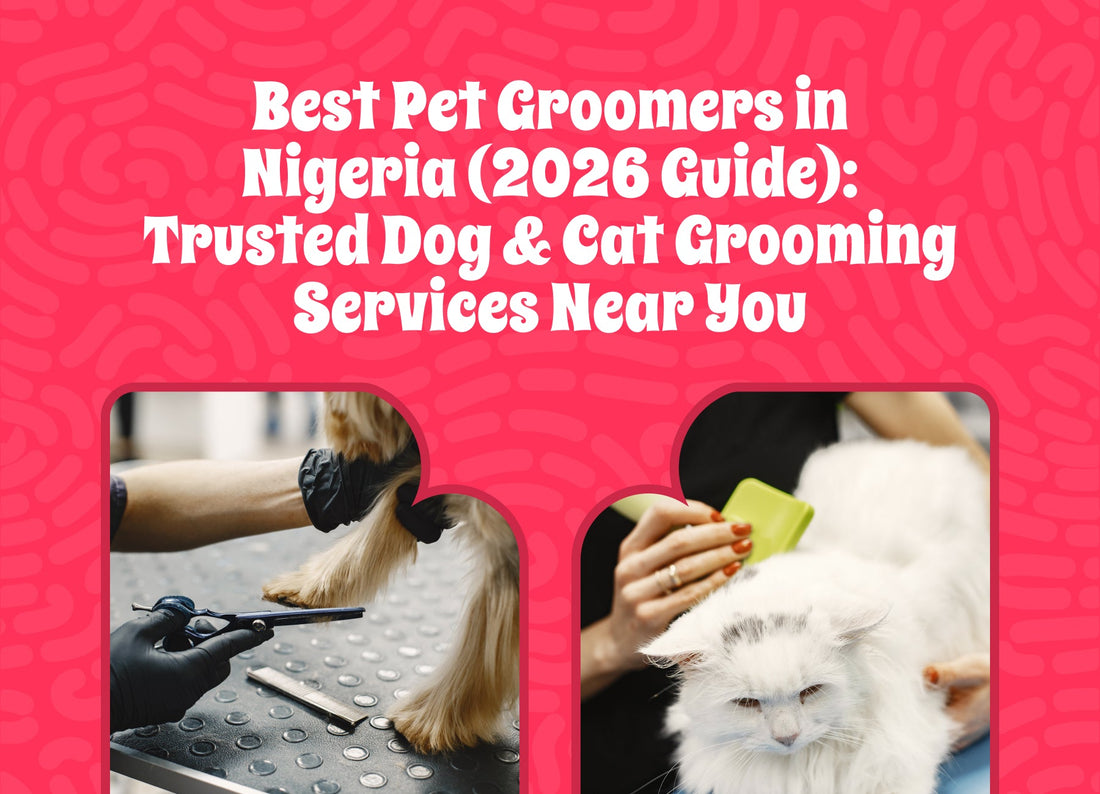 Best Pet Groomers in Nigeria (2026 Guide): Trusted Dog & Cat Grooming Services Near You