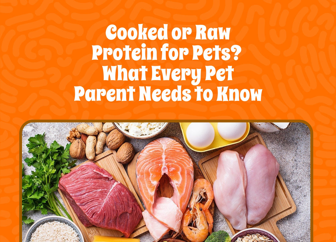 Cooked or Raw Protein for Pets? What Every Pet Parent Needs to Know
