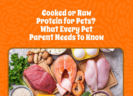 Cooked or Raw Protein for Pets? What Every Pet Parent Needs to Know