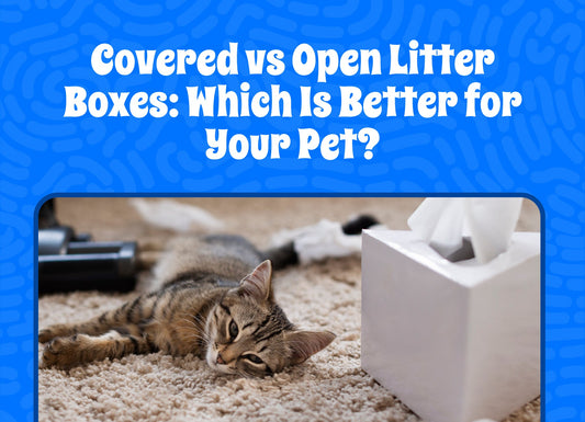 Covered vs. Open Litter Boxes: Which Is Better for Your Cat?