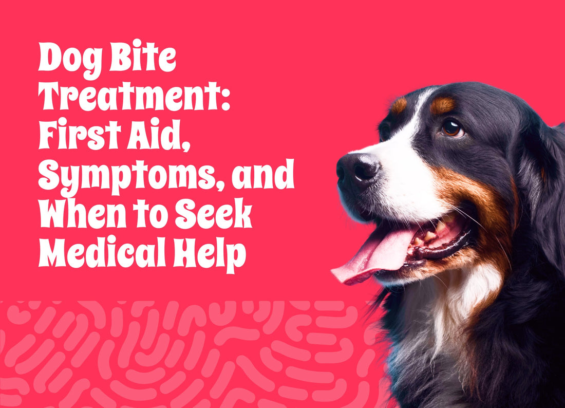 Dog Bite Treatment: First Aid, Symptoms, and When to Seek Medical Help