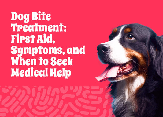 Dog Bite Treatment: First Aid, Symptoms, and When to Seek Medical Help