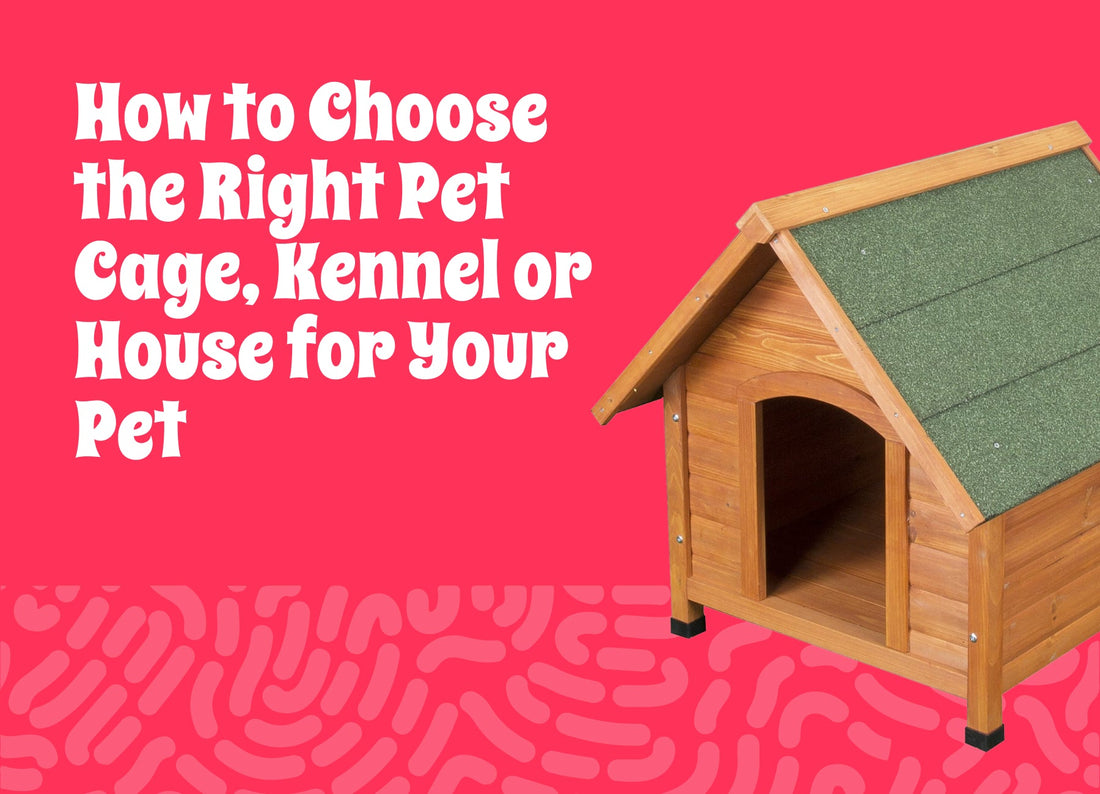 How to Choose the Right Pet Cage, Kennel, or House for Your Pet