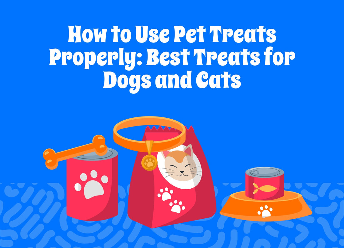 How to Use Pet Treats Properly: Best Treats for Dogs and Cats