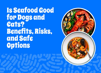 Is Seafood Good for Dogs and Cats? Benefits, Risks, and Safe Options ... - Safe Apples For Dogs