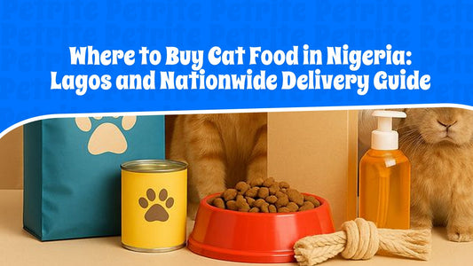 Where to Buy Cat Food in Nigeria: Lagos and Nationwide Delivery Guide