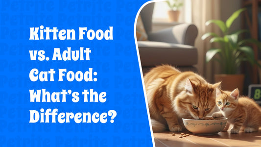 Kitten Food vs. Adult Cat Food: What’s the Difference?