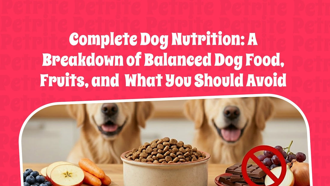 Complete Dog Nutrition: A Breakdown of Balanced Dog Food, Fruits, and What You Should Avoid