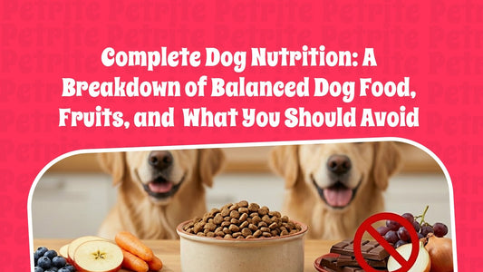Complete Dog Nutrition: A Breakdown of Balanced Dog Food, Fruits, and What You Should Avoid