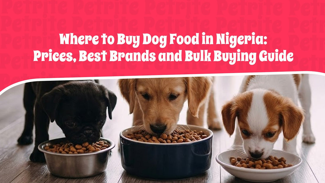 Where to Buy Dog Food in Nigeria: Prices, Best Brands and Bulk Buying Guide
