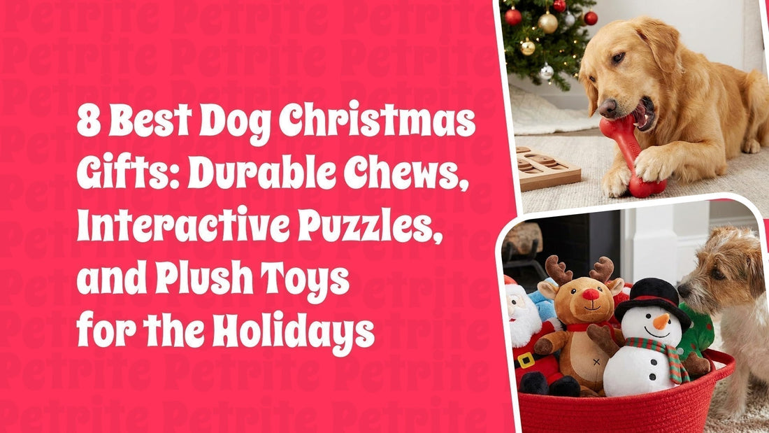 8 Best Dog Christmas Gifts: Durable Chews, Interactive Puzzles, and Plush Toys for the Holidays