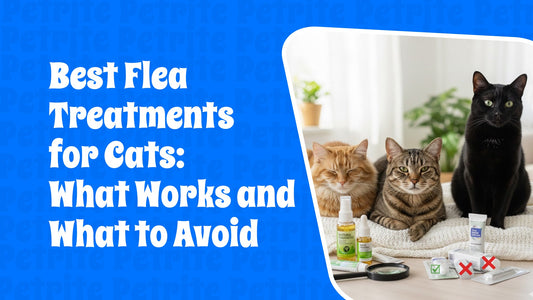 Best Flea Treatments for Cats: What Works and What to Avoid