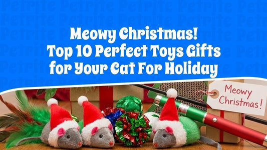 Meowy Christmas: Top 10 Perfect Toys Gifts for Your Cat For Holiday