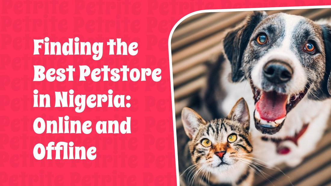 Finding the Best Petstore in Nigeria: Online and Offline