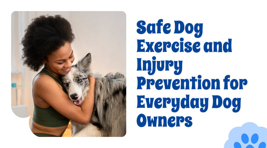 Safe Dog Exercise and Injury Prevention for Everyday Dog Owners