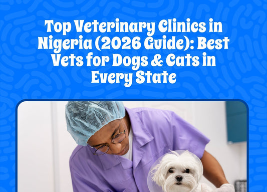 Top Veterinary Clinics in Nigeria (2026 Guide): Best Vets for Dogs & Cats in Every State