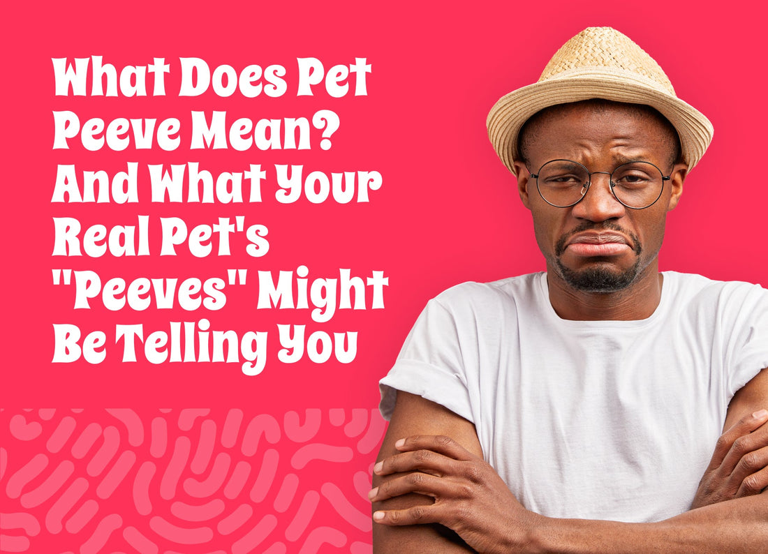 What Does Pet Peeve Mean? And What Your Real Pet's "Peeves" Might Be Telling You