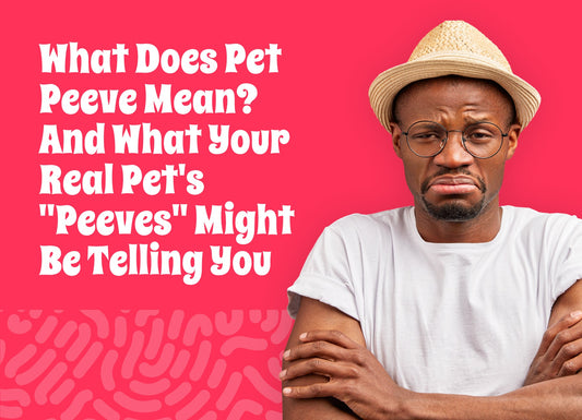What Does Pet Peeve Mean? And What Your Real Pet's "Peeves" Might Be Telling You