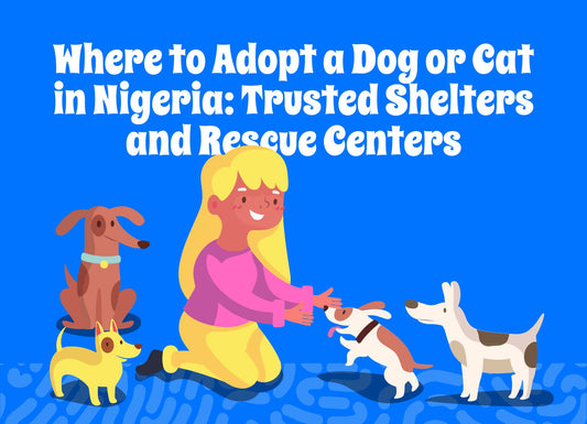 Where to Adopt a Dog or Cat in Nigeria: Trusted Shelters and Rescue Centers