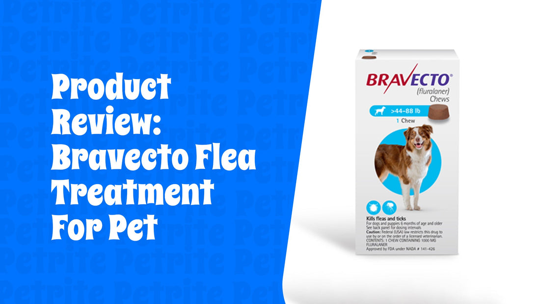 Product Review: Bravecto Flea Treatment for Pet