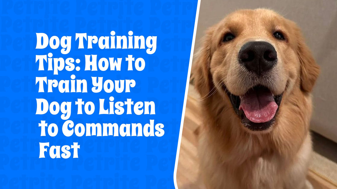Dog Training Tips: How to Train Your Dog to Listen to Commands Fast