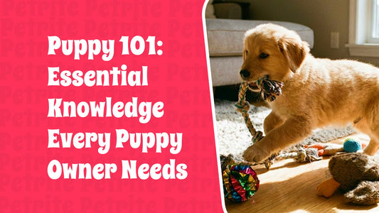Puppy 101: Essential Knowledge Every Puppy Owner Needs