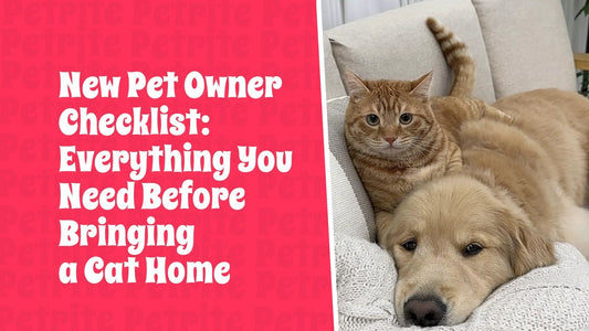 New Pet Parent Checklist: Everything You Need Before Bringing a Cat Home