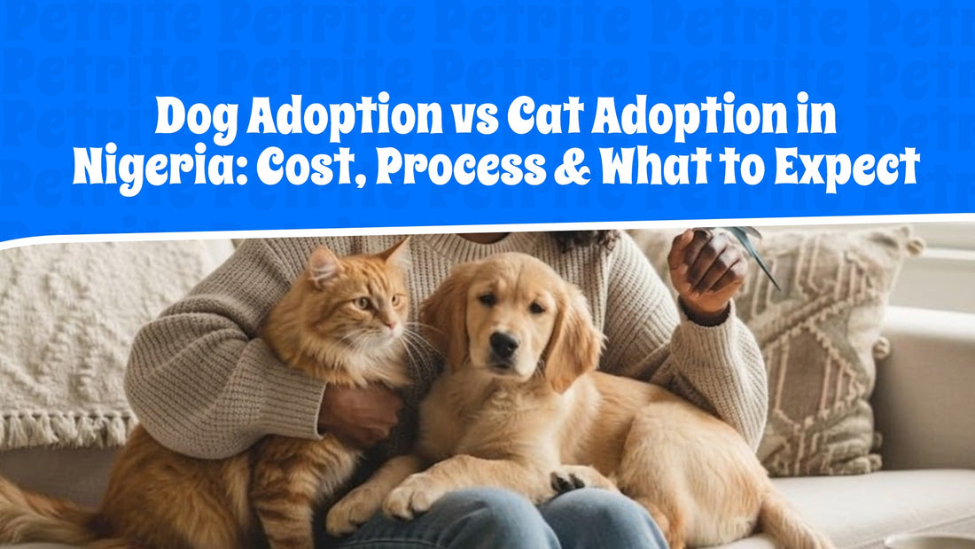 Dog Adoption vs Cat Adoption in Nigeria: Cost, Process & What to Expect