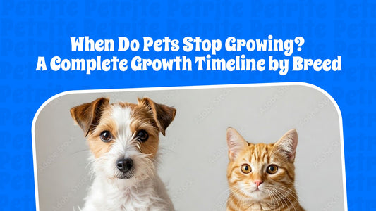 When Do Pets Stop Growing? A Complete Growth Timeline by Breed
