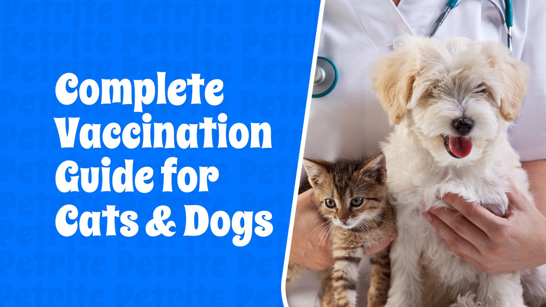 Complete Vaccination Guide for Cats & Dogs