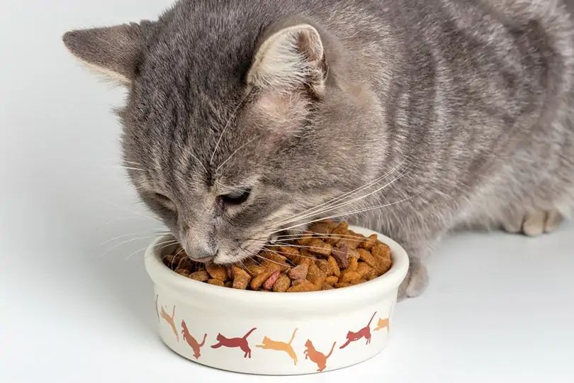 Kitten dry food (0 to 12 months)