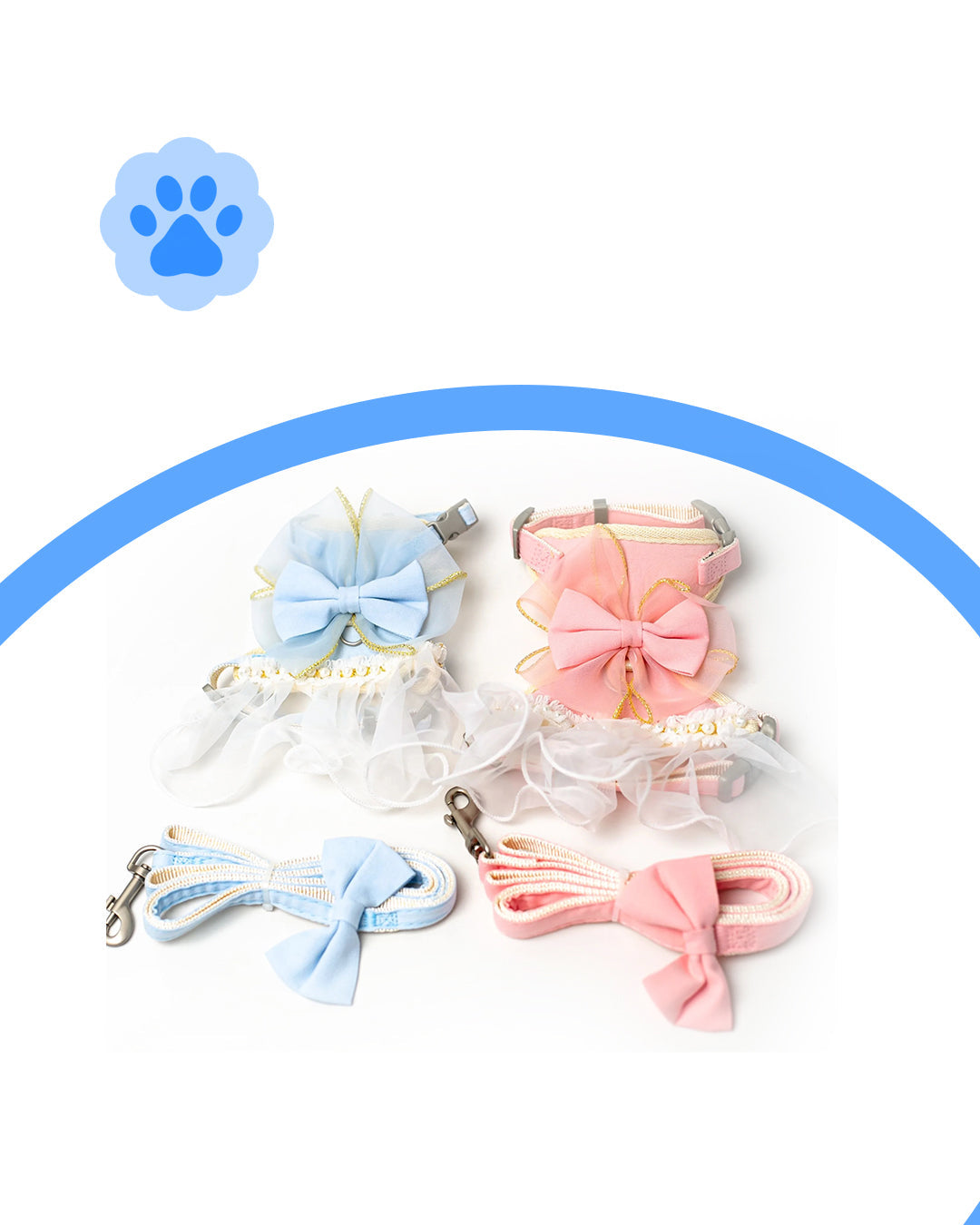 Cat Collars & Leashes