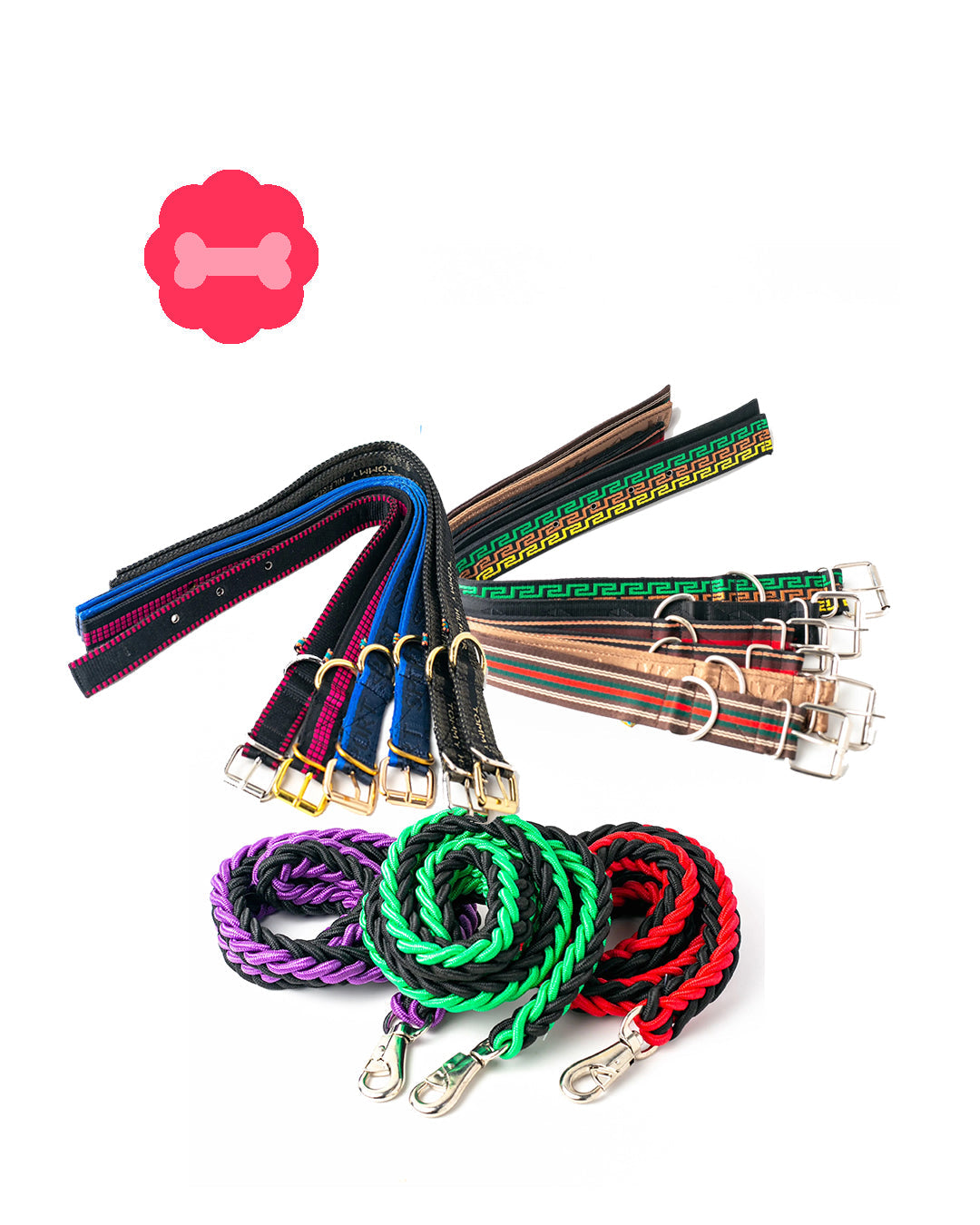 Dog Collars & Leashes