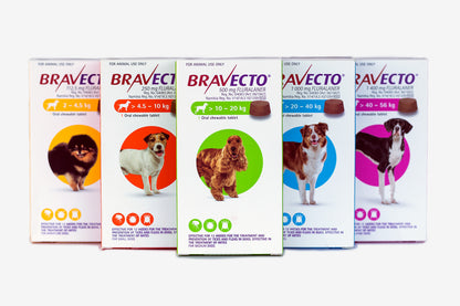 Bravecto Chew for Dogs