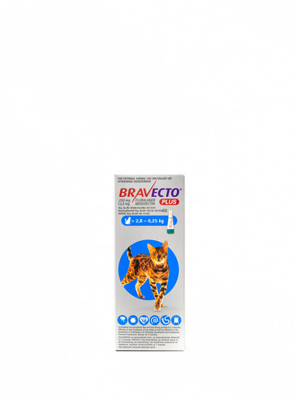 Bravecto Plus Spot-On for Cats