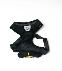 Cat & Dog Harness with Leash