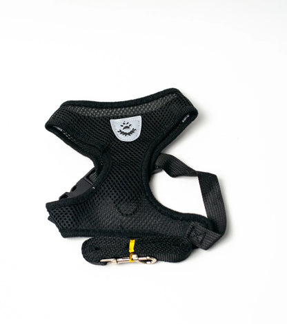 Cat & Dog Harness with Leash