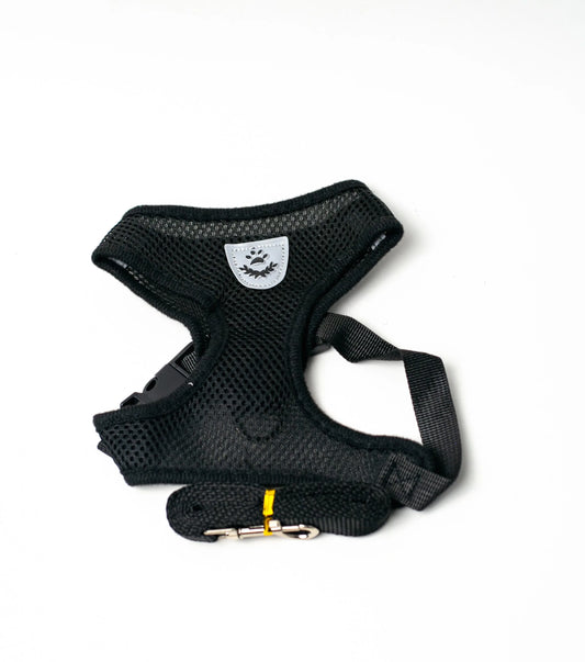 Cat & Dog Harness with Leash