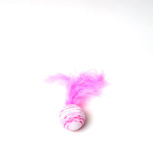 Cat Feathered Ball