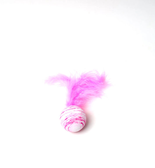 Cat Feathered Ball