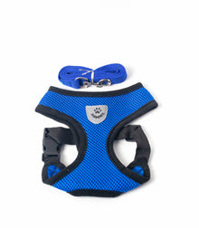Soft Mesh Harness with Leash for cats