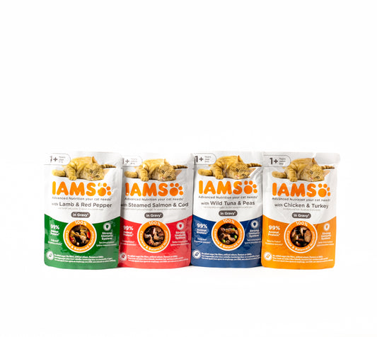 IAMS Advanced Nutrition Wet Cat Food Pouch 1+ Years – Pack of 4