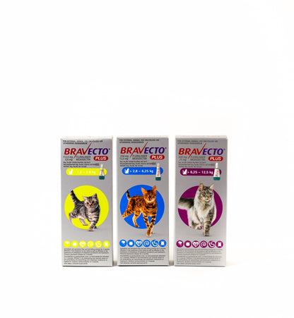 Bravecto Plus Spot-On for Cats